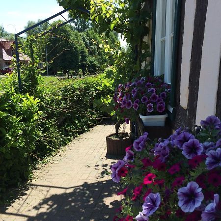 Appartements An Der Schleuse Lübz Eksteriør bilde